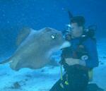 deals4divers
