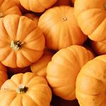 pumpkin7859