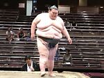 zumo-sumo