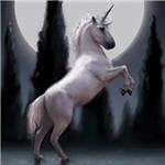 unicorn-21