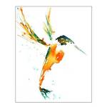 kingfisher555