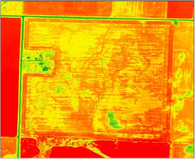 ndvi_3.jpg