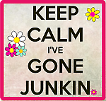 junk_store_junky