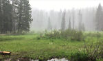 mkfarms1