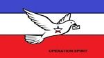 operationspirit4troops