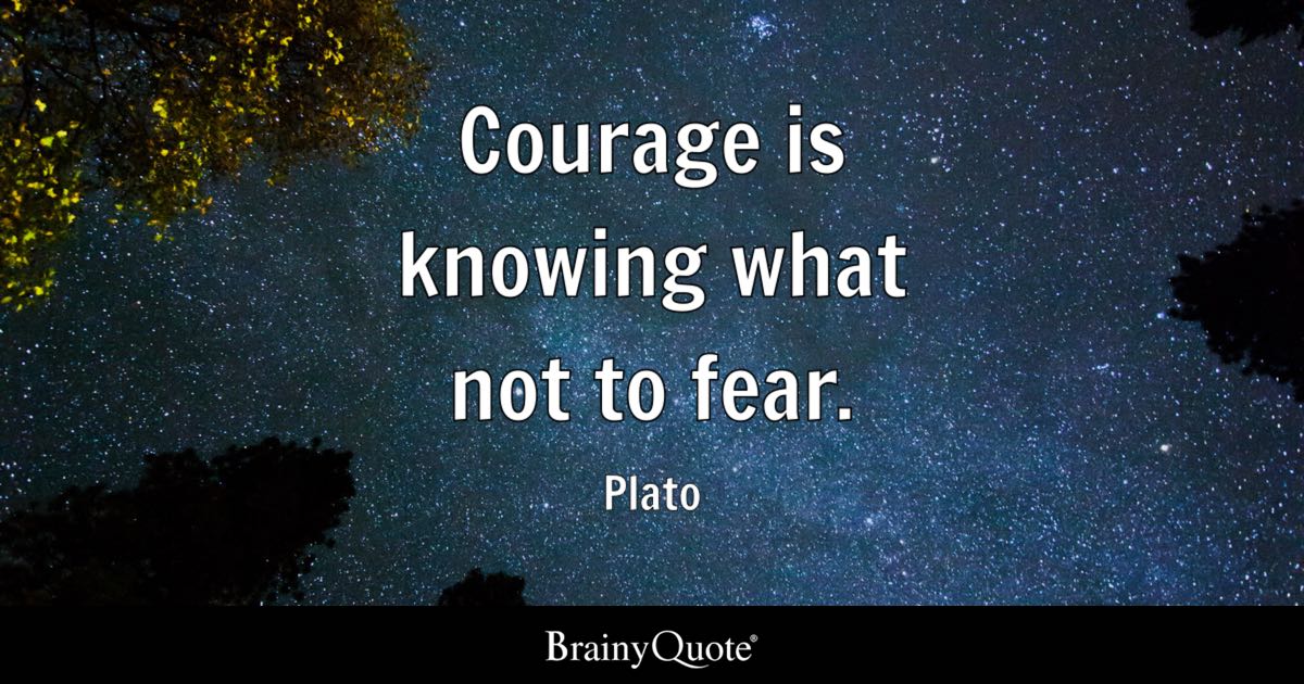 Image result for plato quote