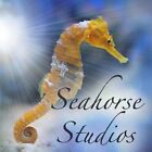seahorse_studio