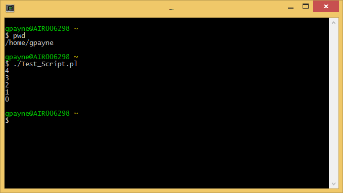 Cygwin Mintty terminal running Perl script