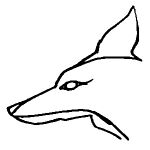 kamereon