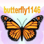 butterfly1146