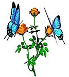 09dee2448