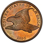 stiegelcoin