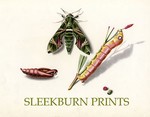 sleekburn