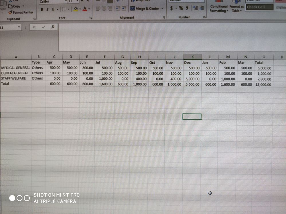 Test Budget.jpg