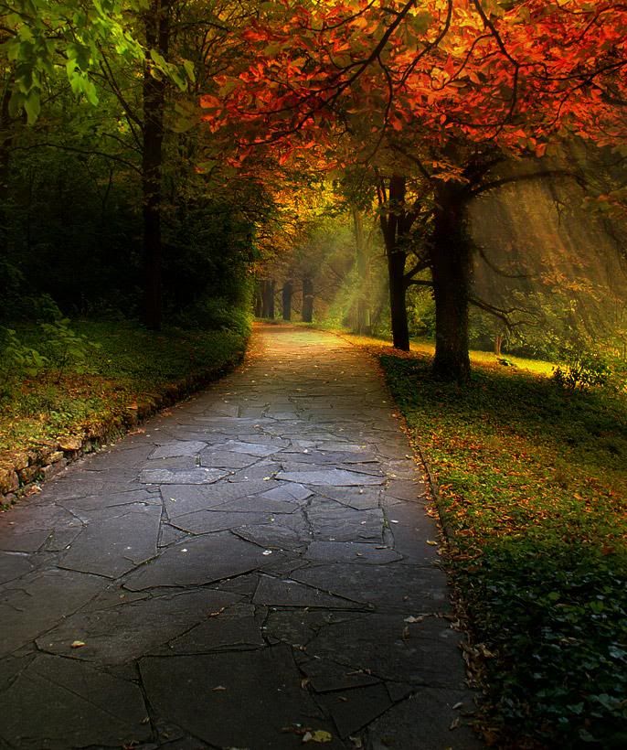 autumn landscape photo: Martev autumn AlexanderMartevFallSidewalkSplendor.jpg