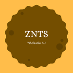 znts-wholesale-global