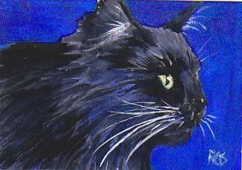 ACEO TW Black Cat in the Shadows