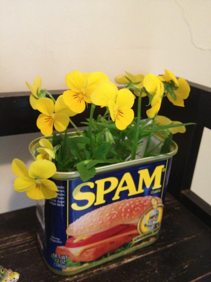Image result for spam with flowers