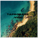 taprobane_store.98