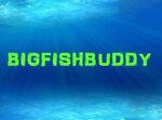 bigfishbuddy
