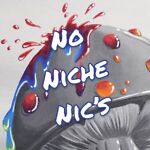 no_niche_nics