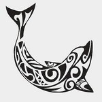 lucky**dolphin