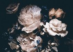 kyjo_6512