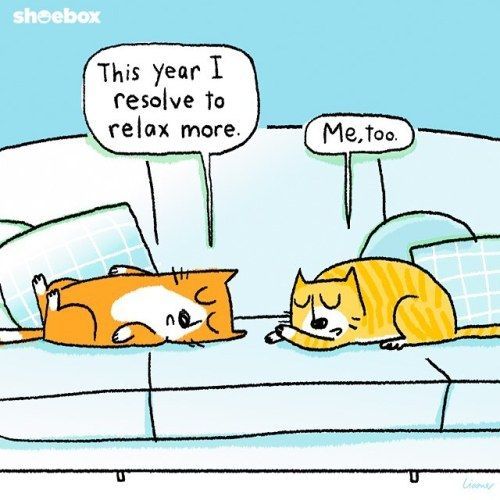 If Animals Made New Year's Resolutions...
