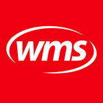 witmermotorservice