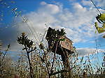 andrerag82_good_junk_napa