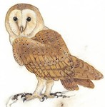slwl0729