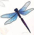 2011bluedragonfly