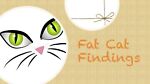 fatcatfindings