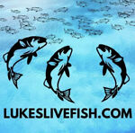 lukes_live_fish